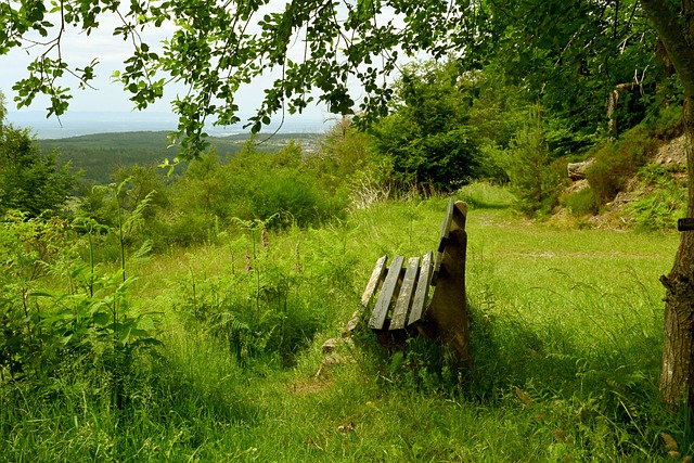 以大范围补 以大范围补